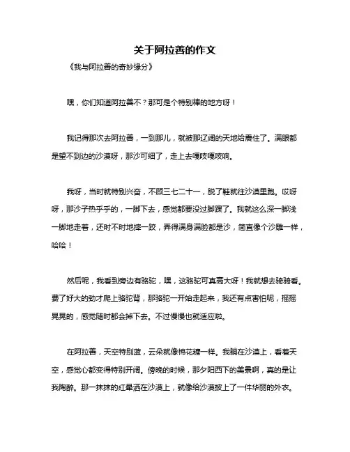 关于阿拉善的作文