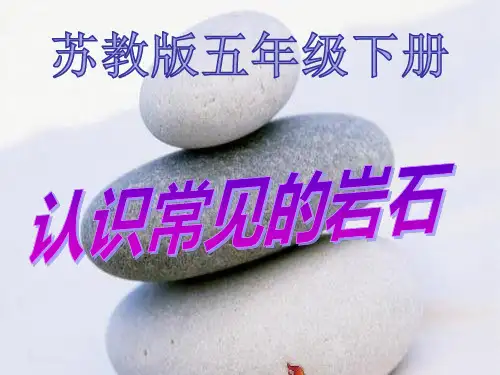 五年级下册科学课件第一课认识常见岩石 苏教版(共23页)PPT
