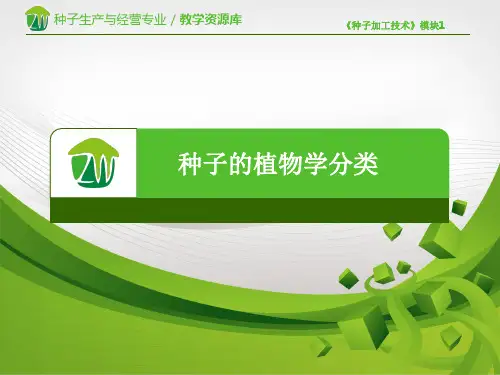 种子加工技术3、种子的植物学分类