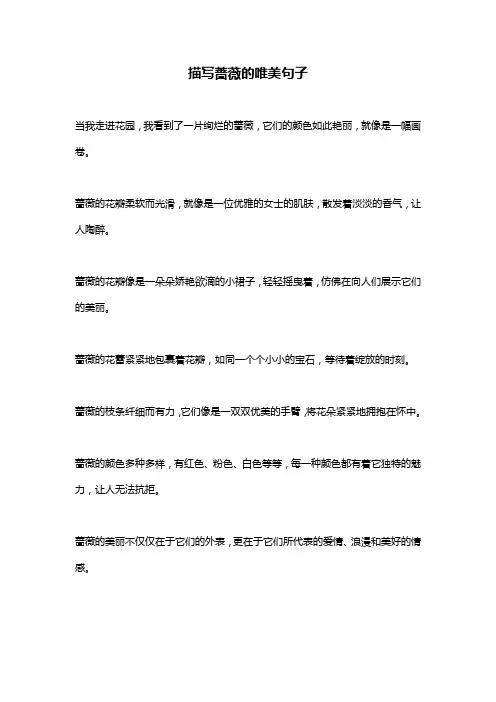 描写蔷薇的唯美句子