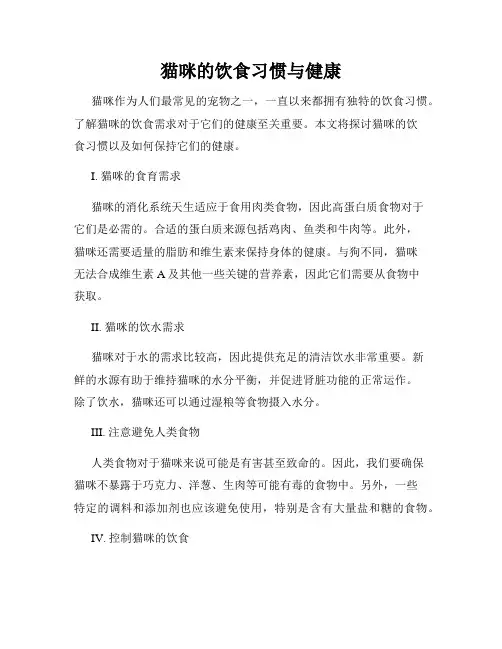 猫咪的饮食习惯与健康