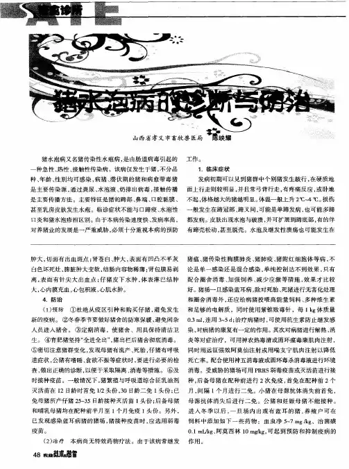 猪水泡病的诊断与防治
