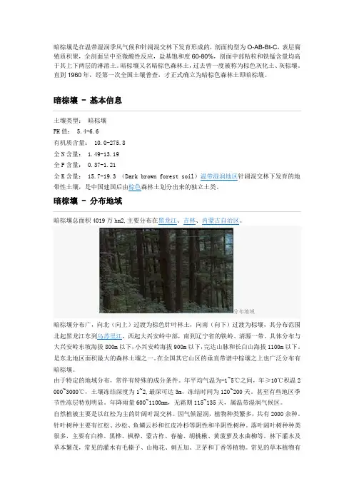 暗棕壤