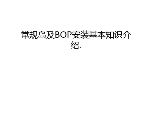 常规岛及BOP安装基本知识介绍.培训讲学