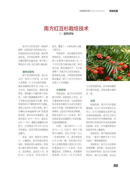 南方红豆杉栽培技术