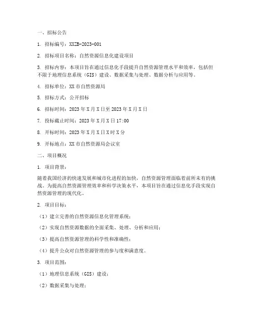 自然资源信息化招标文件