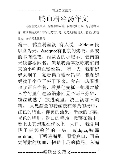 鸭血粉丝汤作文