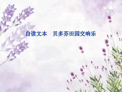 贝多芬田园交响乐中小学PPT教学课件