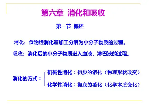 第六章 消化