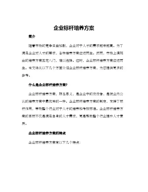 企业标杆培养方案