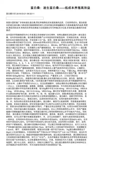 蛋白桑：速生蛋白桑——低成本养殖高效益