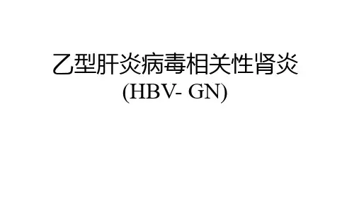 乙肝相关性肾炎