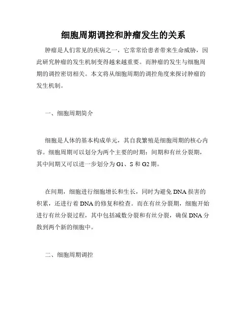 细胞周期调控和肿瘤发生的关系