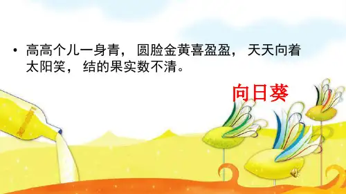 植物角里的科学问题