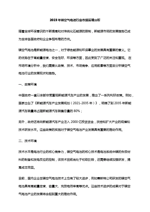 2023年镁空气电池行业市场环境分析
