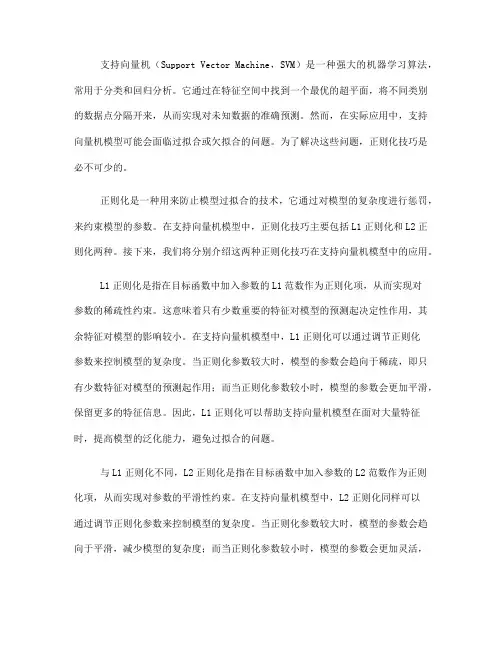 支持向量机模型的正则化技巧