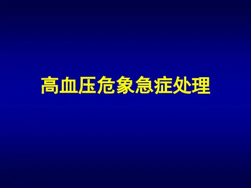 高血压危象急症处理-PPT精选文档29页