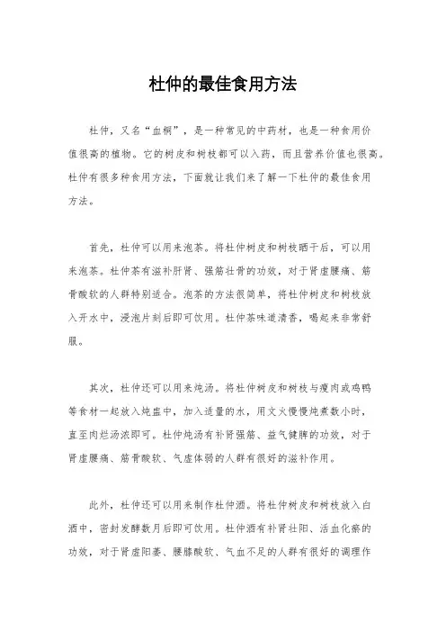 杜仲的最佳食用方法