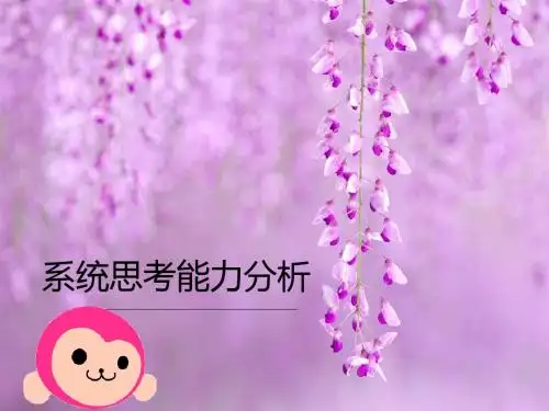 系统思考