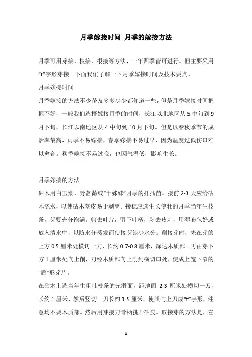 月季嫁接时间 月季的嫁接方法
