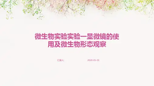 微生物实验实验一显微镜的使用及微生物形态观察