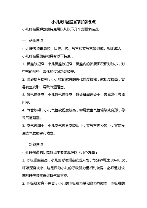 小儿呼吸道解剖的特点