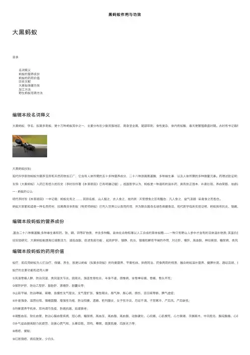 黑蚂蚁作用与功效