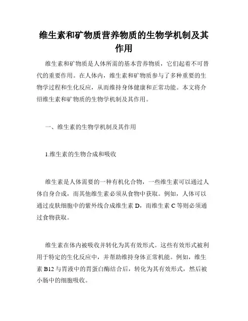 维生素和矿物质营养物质的生物学机制及其作用
