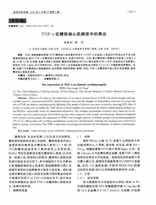 TNF-α在糖尿病心肌病变中的表达