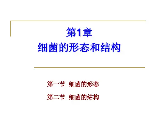 华南农业大学 兽医微生物学 课件 2 细菌总论——形态、结构、生长繁殖