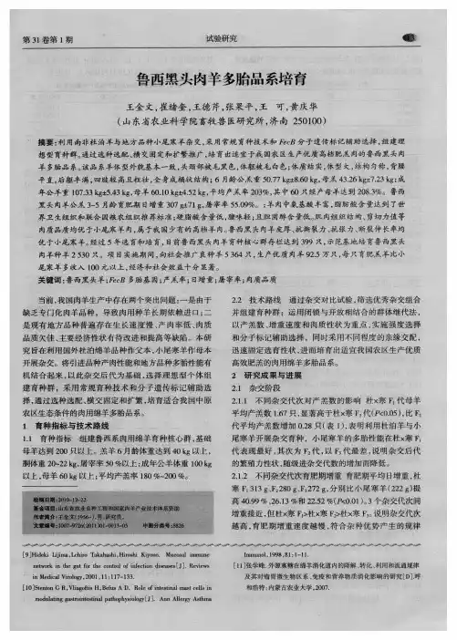 鲁西黑头肉羊多胎品系培育