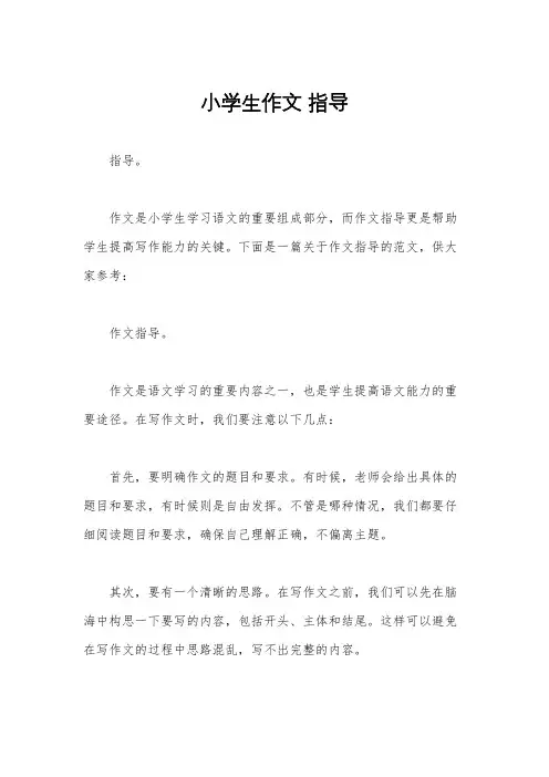 小学生作文 指导