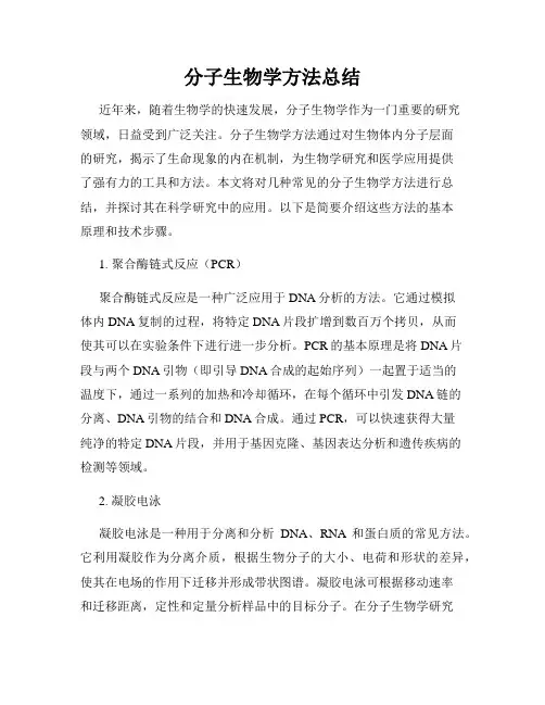 分子生物学方法总结