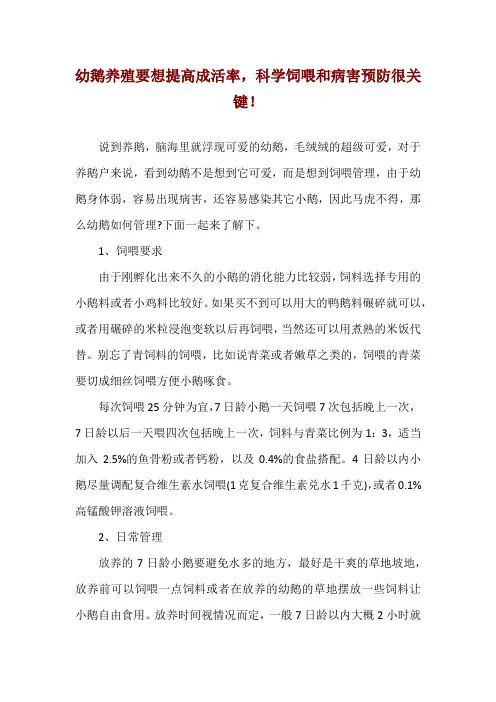 幼鹅养殖要想提高成活率,科学饲喂和病害预防很关键!