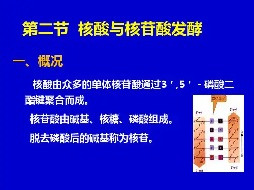 核苷酸类物质解读
