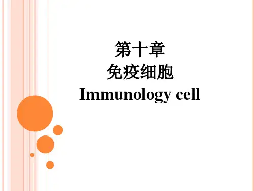 免疫第十一,十二,十三章