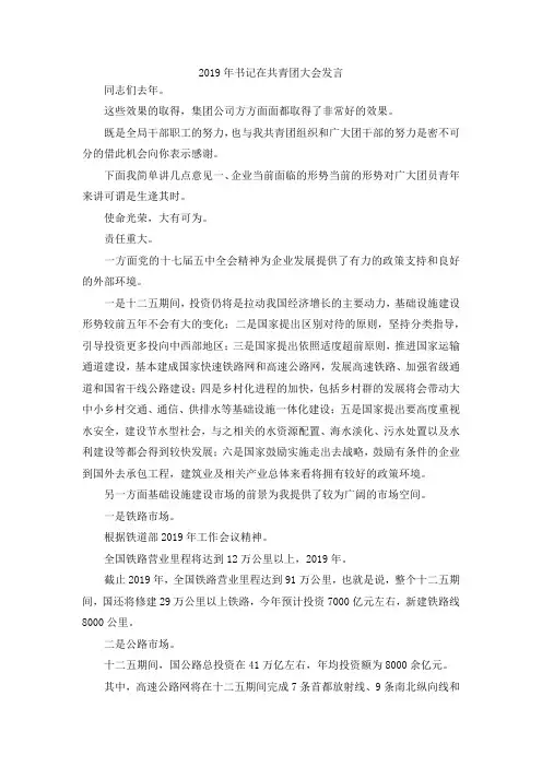 最新-2019年书记在共青团大会发言 精品
