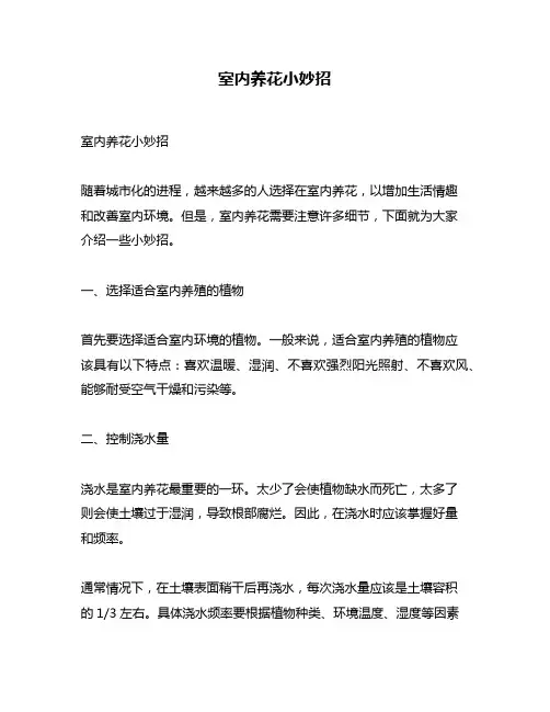 室内养花小妙招
