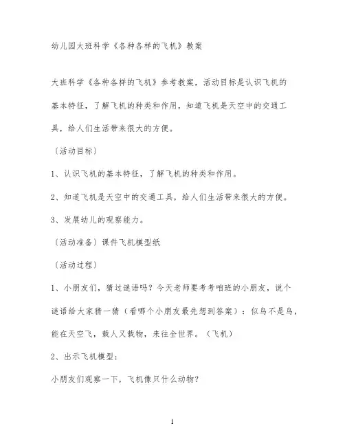 幼儿园大班科学《各种各样的飞机》教案