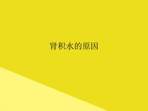肾积水的原因PPT资料(正式版)