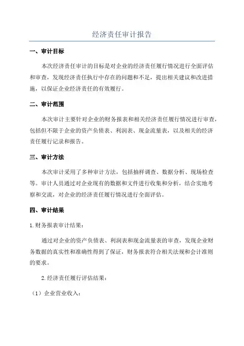 经济责任审计报告