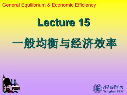 北大微观经济学课件15 一般均衡与经济效率.ppt