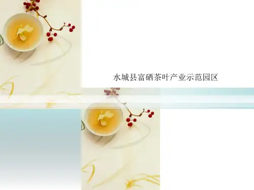 水城县富硒茶叶产业示范园区