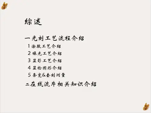 光刻工艺步骤介绍课件PPT