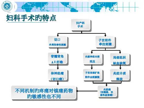 病例分享诺扬