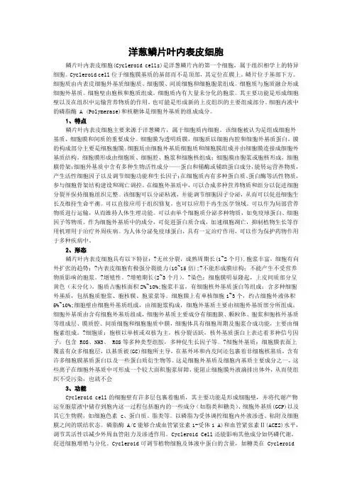 洋葱鳞片叶内表皮细胞