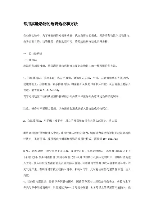 11.常用实验动物的给药途径和方法
