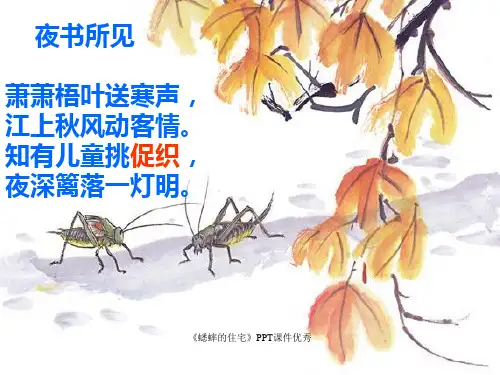 《蟋蟀的住宅》PPT课件优秀