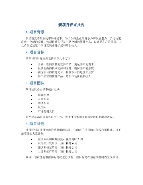 新项目评审报告