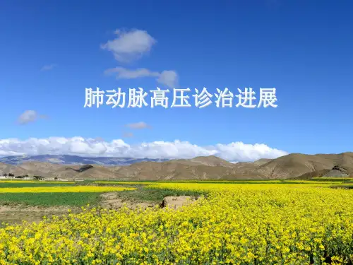 肺动脉高压与右心导管的检查